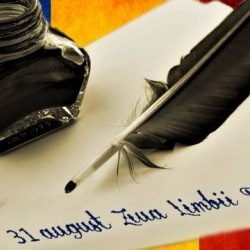 14212702_1644483495863708_7984365339322716837_n