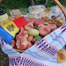 66457825_2444037918988734_889889942098935808_n