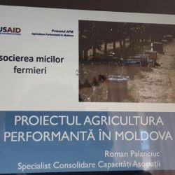 83654778_2408477019464348_5516794193592188928_n