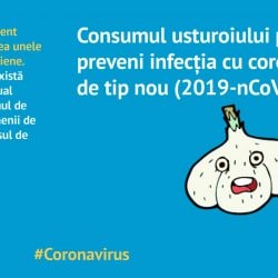 89722163_2451245998520783_9047927407406743552_o