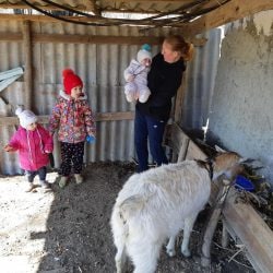 91595114_2992200324172488_3164703466161438720_n