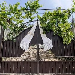 102737159_2526242111021171_2156925139052188047_o