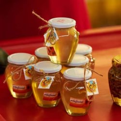 116043201_3281080571951127_6216856895446811842_n