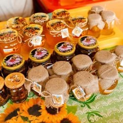 116335970_3281080775284440_3482030847809978344_n