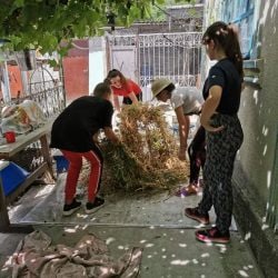 116721652_2574245999554115_7623618099133879368_n