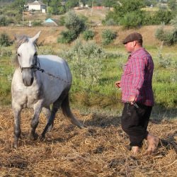 117823984_2588785714766810_4616660185143638322_o