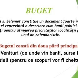 56c6a01f315fd3e55bd97a1c4e31325e-1