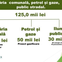 56c6a01f315fd3e55bd97a1c4e31325e-12