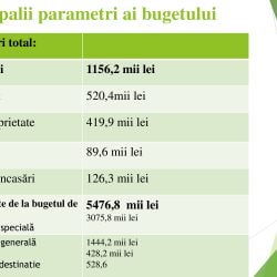 56c6a01f315fd3e55bd97a1c4e31325e-4