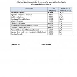 PROIECTE DE DECIZII Consiliul Local Selemet-09