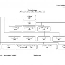 PROIECTE DE DECIZII Consiliul Local Selemet-13