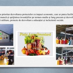 Raport primar 2020_00005
