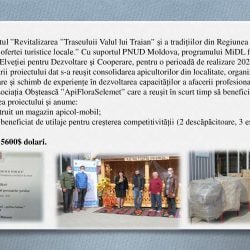 Raport primar 2020_00012
