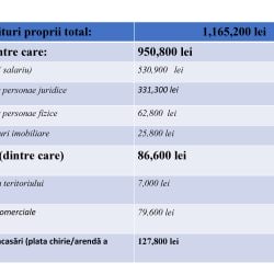 Prezentarea BUGET 2022-8