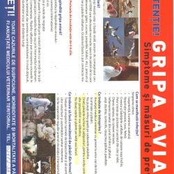 gripa aviara dascal_page-0002