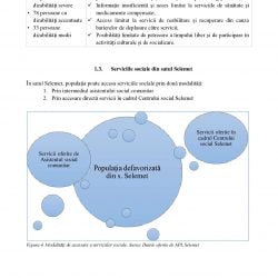 22.08.22 Proiect Plan Strategic Dezvoltare Servicii Sociale Selemet_00010