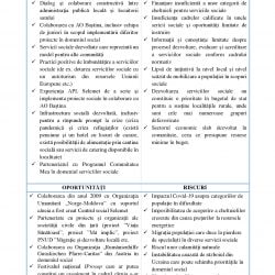 22.08.22 Proiect Plan Strategic Dezvoltare Servicii Sociale Selemet_00013
