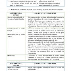 22.08.22 Proiect Plan Strategic Dezvoltare Servicii Sociale Selemet_00014