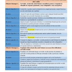 22.08.22 Proiect Plan Strategic Dezvoltare Servicii Sociale Selemet_00017