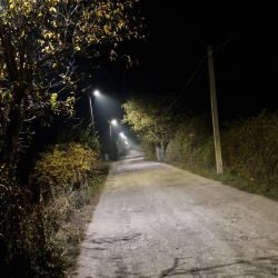 311716308_5745551332170693_7403631745884743158_n