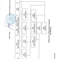 organigrama_page-0001
