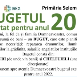 2.2.-Infografic_Buget_executat-2022_Selemet-_1_