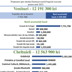 2.2.-Infografic_Buget_executat-2022_Selemet-_1_