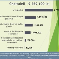 Infografic_buget planificat 2024_Selemet