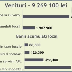 Infografic_buget planificat 2024_Selemet2