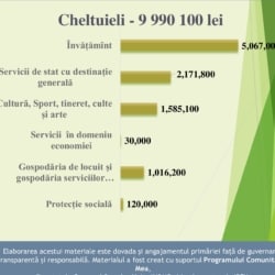 Infografic_buget-planificat-2025