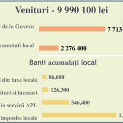 Infografic_buget-planificat-2025_Selemet