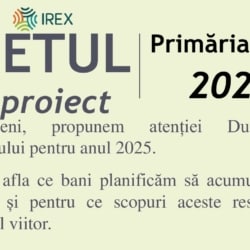Infografic_buget-planificat