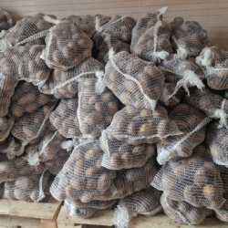 594507437_25501084866190713_642076000815056966_n