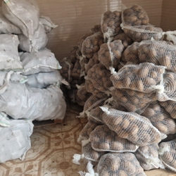 594845164_25501085159524017_338420001950368865_n