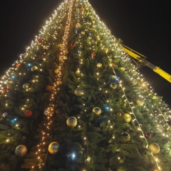 597485699_25537069352592264_6400449049848590935_n