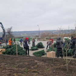 597903168_25537070789258787_5928774150006037751_n