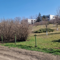 656402062_26496966236602566_324436431703814358_n